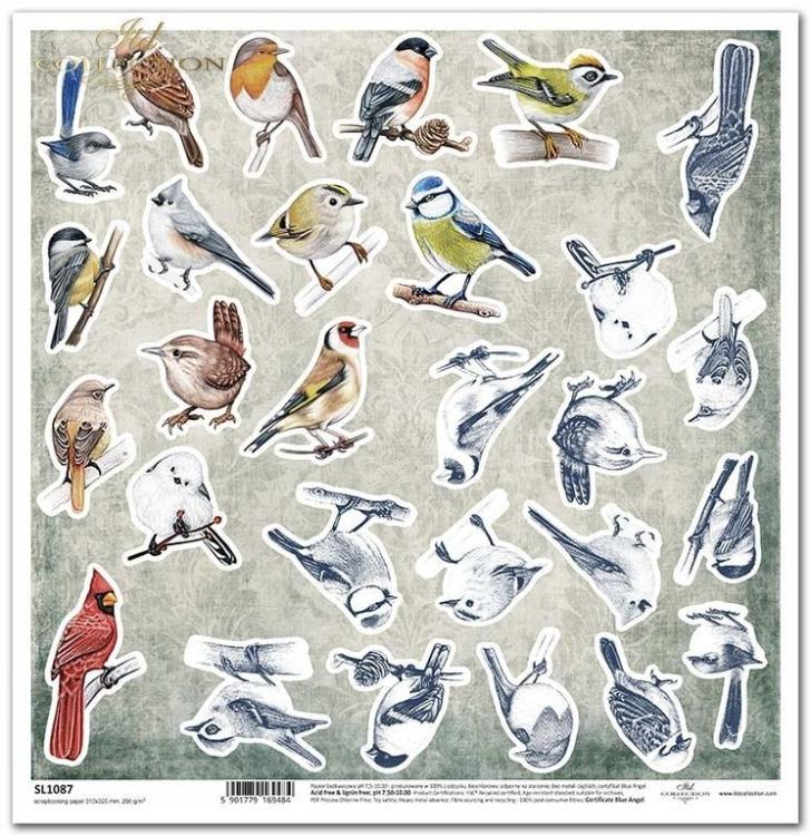 ITD Collection 12x12 Paper Sheet Decorated w. Frost #1087