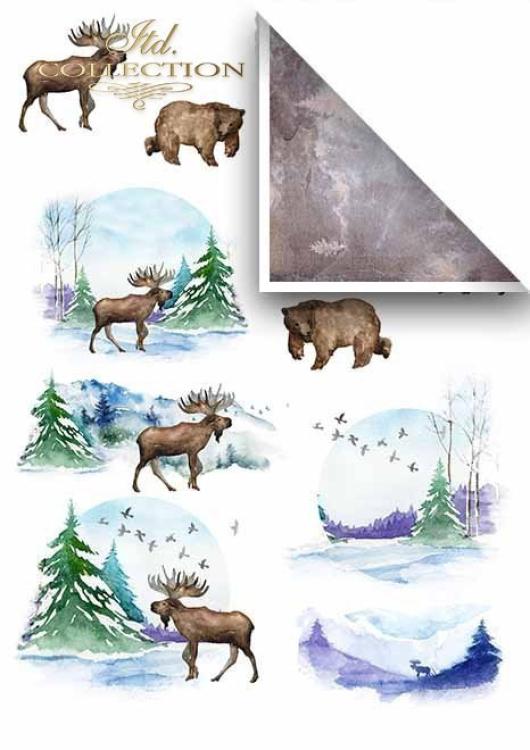 ITD Collection A4 Paper Pack Winter Animals