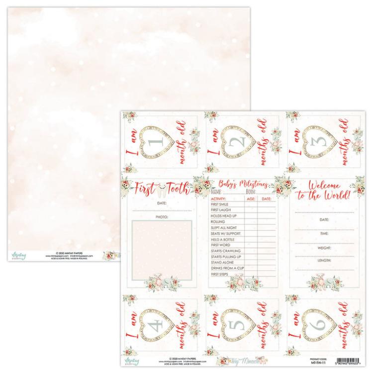 Mintay 12x12 Paper Sheet Tiny Miracles Extras #11