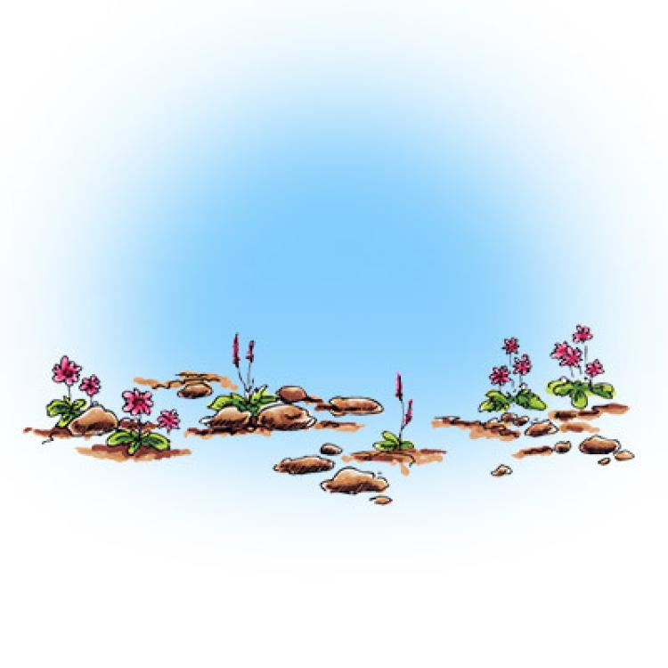 Make It Crafty Spring Pebbles Ground