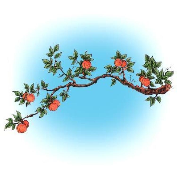 Make It Crafty Stamp Peaches of Plenty
