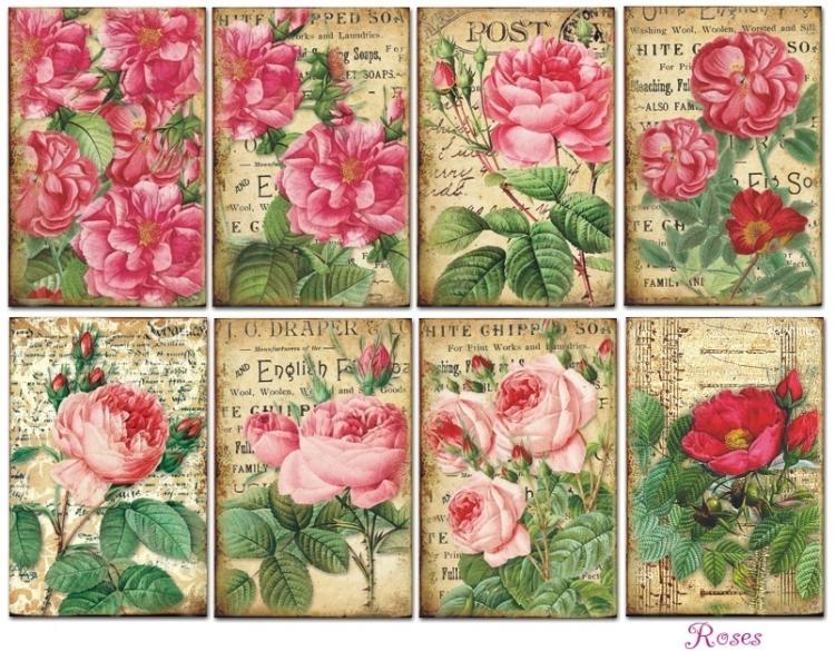 Decorer Mini Scrapbook Paper Set Roses