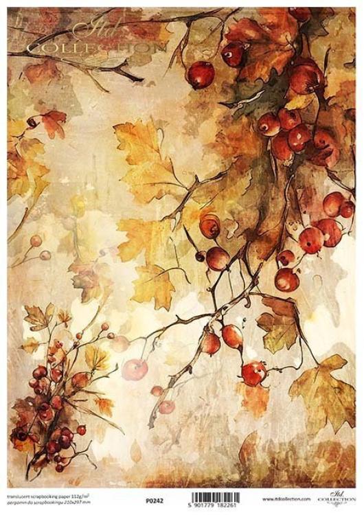 P0242 ITD Collection Autumn Love Story A4 Translucent Paper