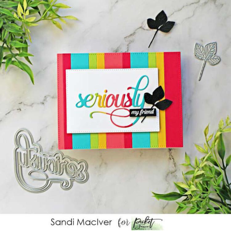 Picket Fence Studios "seriously" Word Die #167