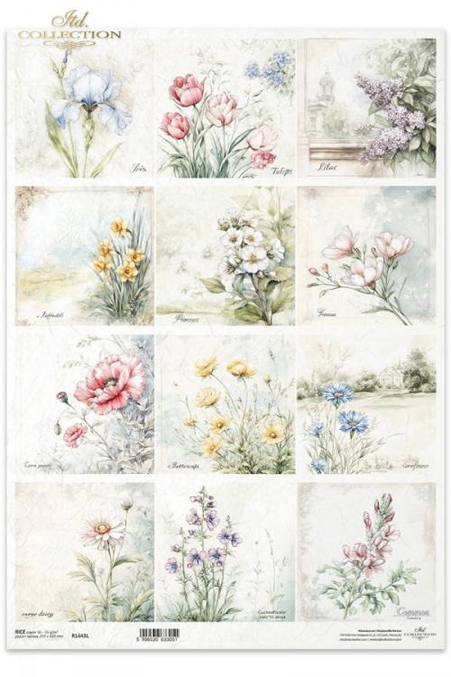 R1443L ITD Collection Meadow Flowers A3 Rice Paper