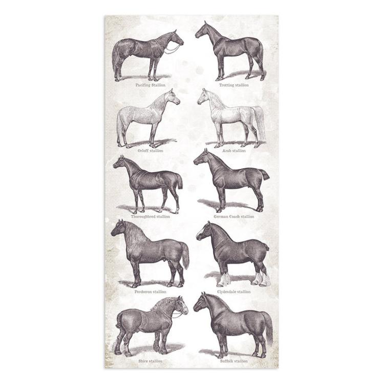 Stamperia Collectable 15x30cm Romantic Horses #06