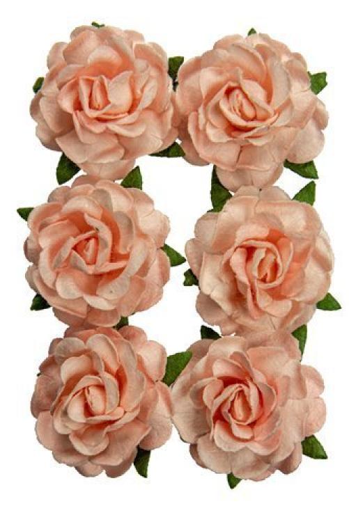 Mulberry Flowers Jubilee Roses 3 cm Salmon