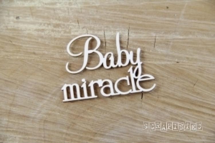 Scrapiniec Chipboard Baby Miracle