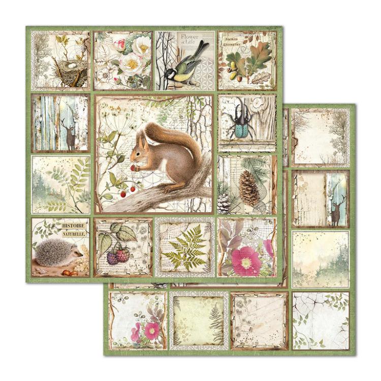 Stamperia 12x12 Paper Pad Forest #SBBL63