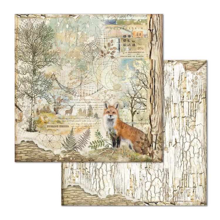 Stamperia 12x12 Paper Pad Forest #SBBL63