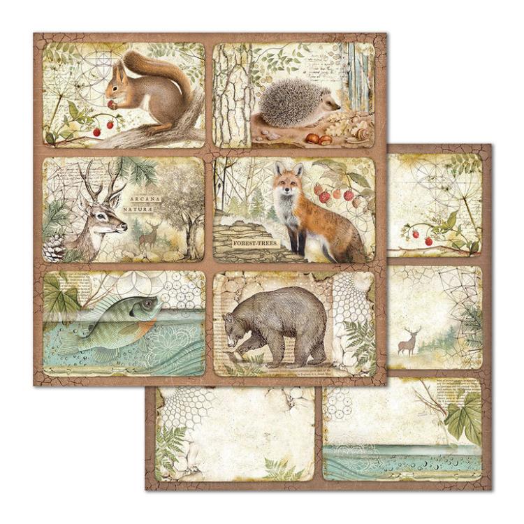 Stamperia 12x12 Paper Pad Forest #SBBL63