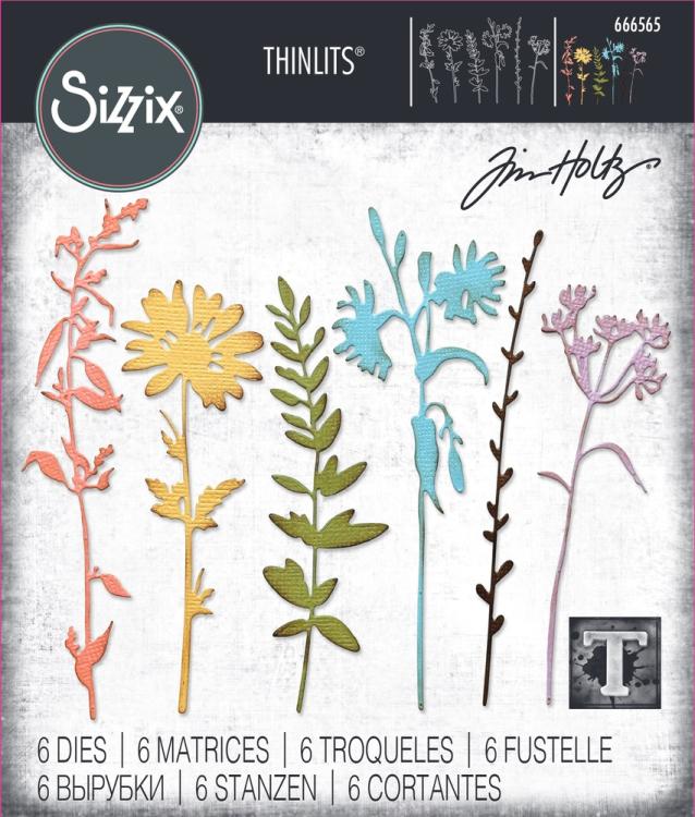 Thinlits Die by Tim Holtz Vault Wildflowers (6pcs) #666565