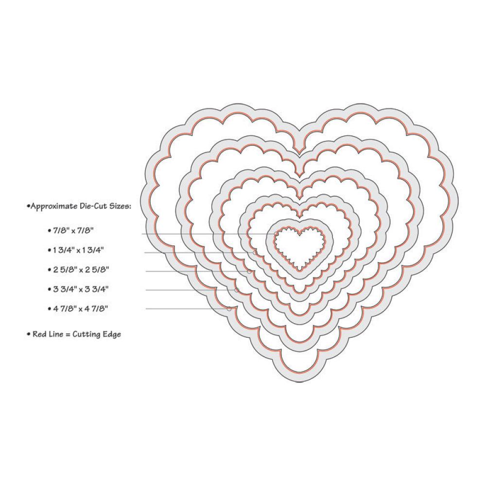 Sizzix Framelits Die Set 5PK Scallop Hearts