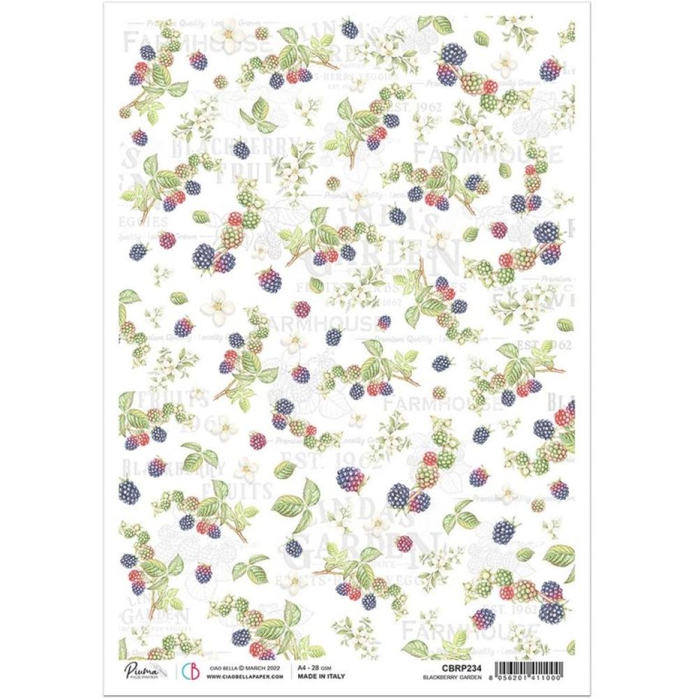 Ciao Bella A4 Rice Paper Blackberry Garden #234