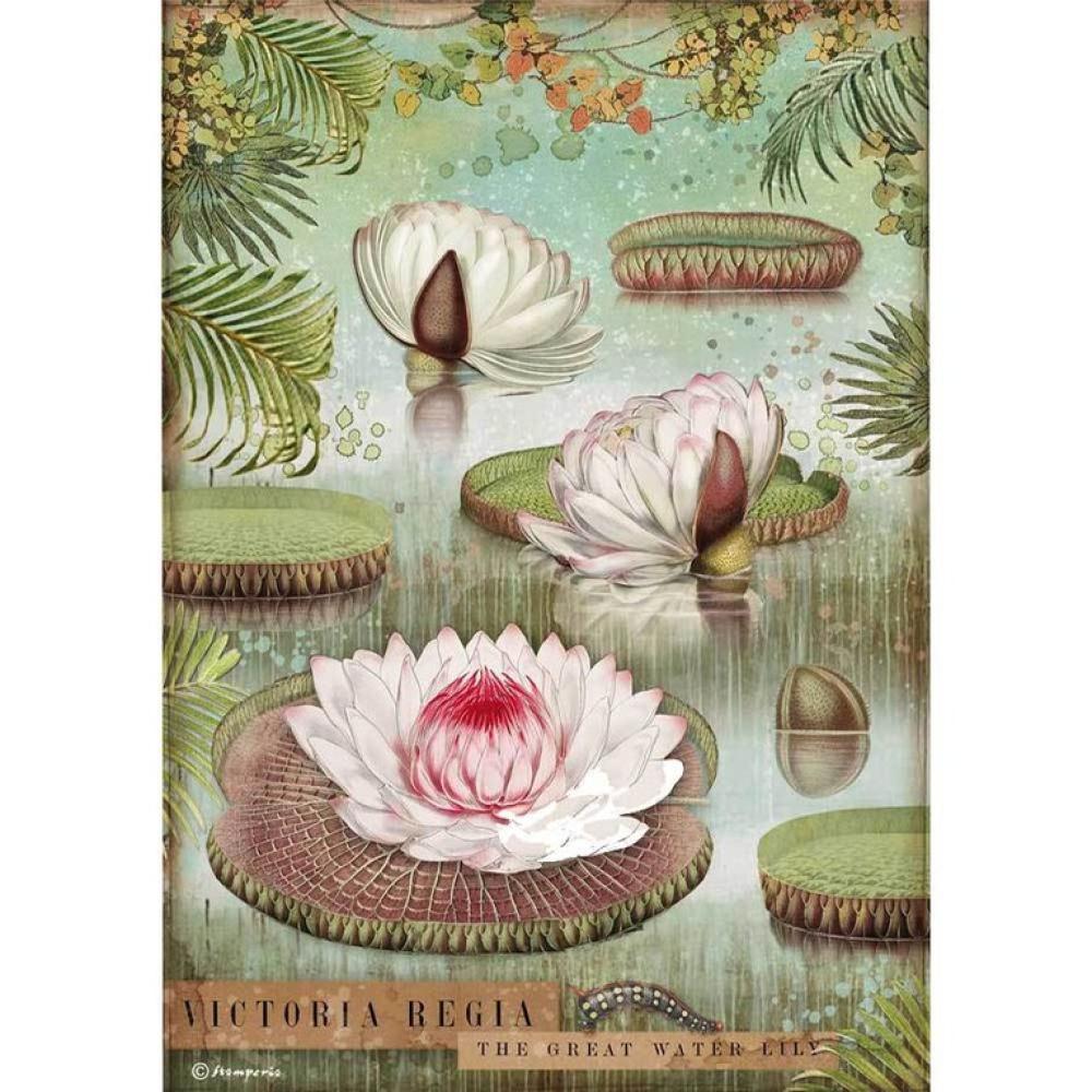 Stamperia A4 Rice Paper Water Lily  DFSA4529