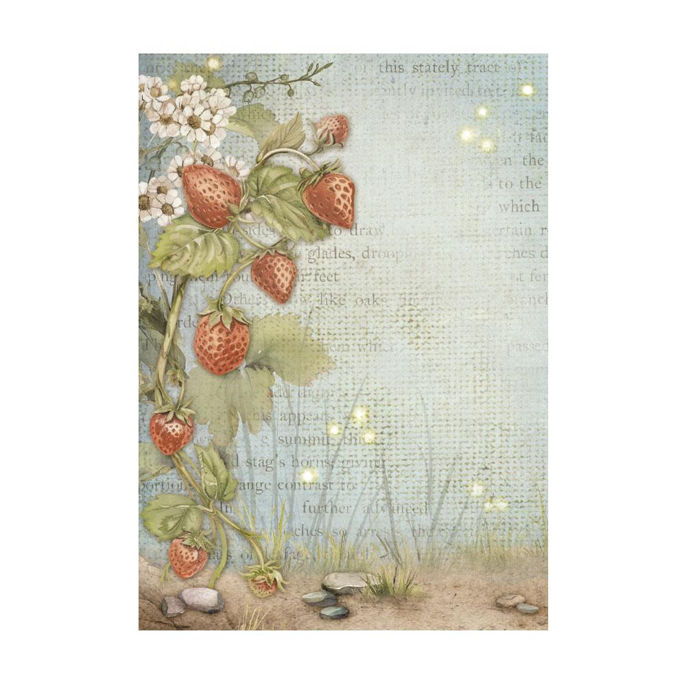 DFSAK6038 Stamperia Hidden Grove A6 Rice Paper Backgrounds SET