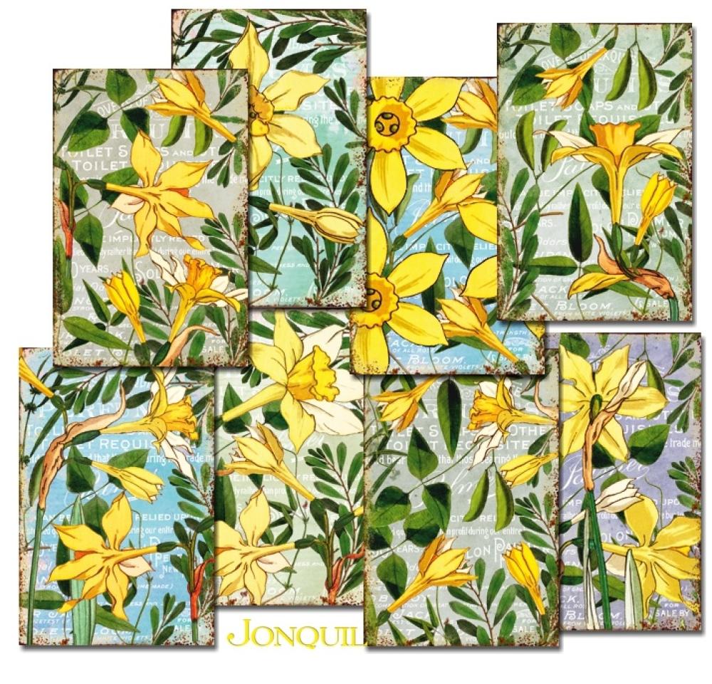 Decorer Mini Scrapbook Paper Set Jonquil