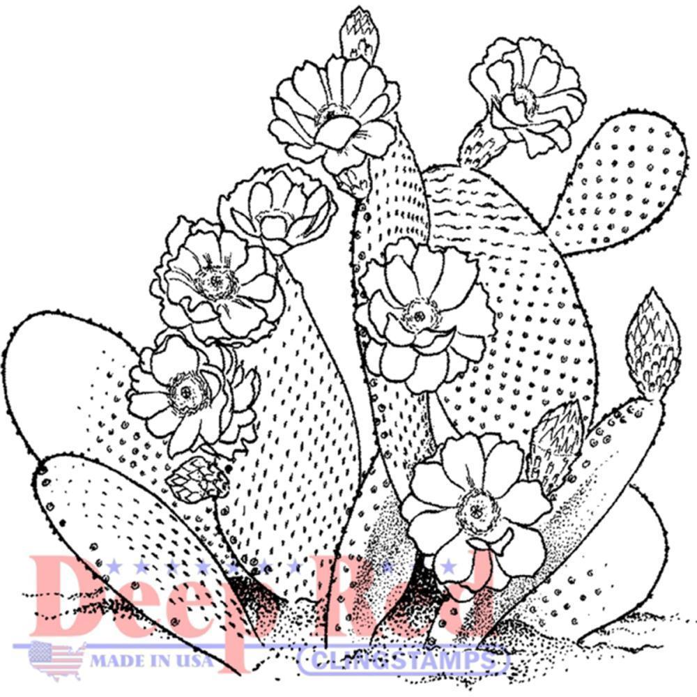 Deep Red Cling Stamp Desert Cactus