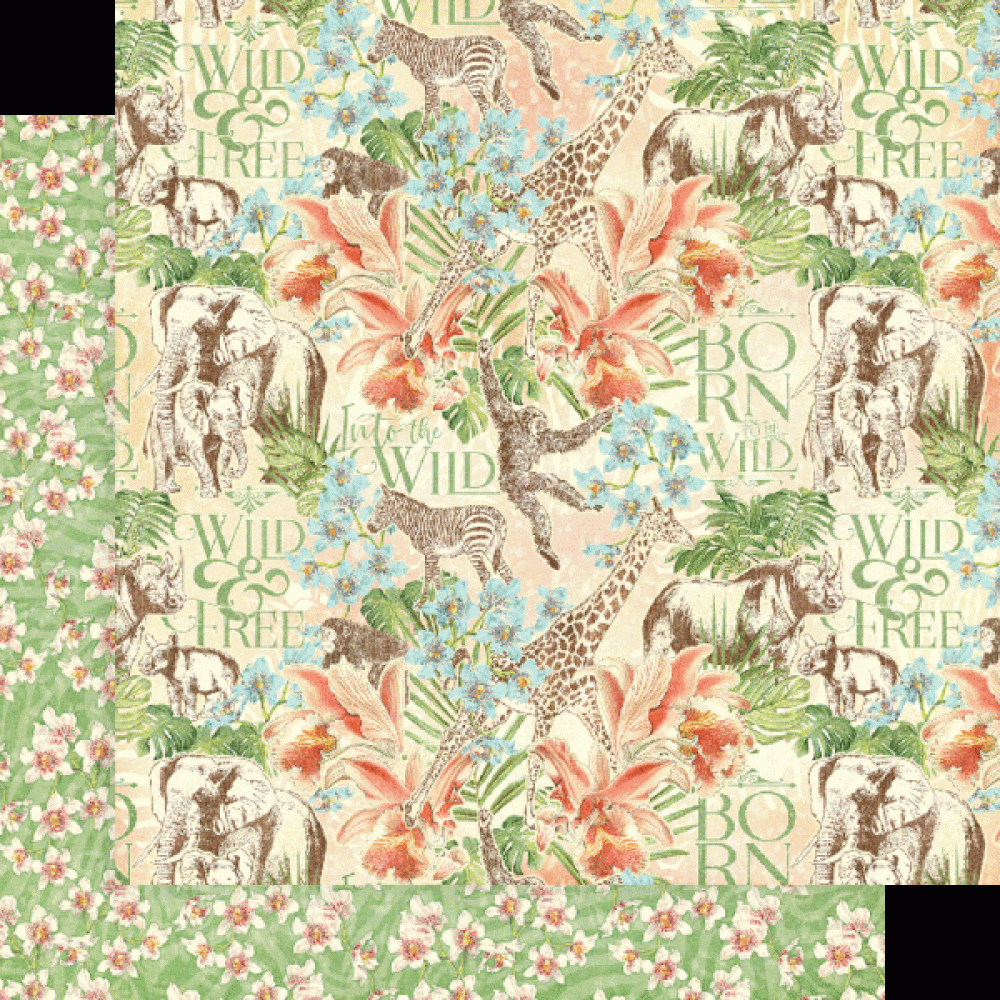 Graphic 45 Wild & Free 12x12 Inch Collection Pack (4502405)