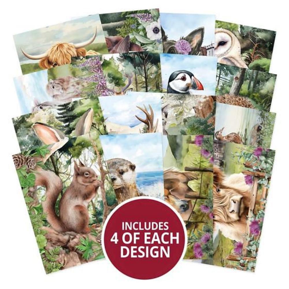 Hunkydory Highland Wildlife Pocket Pad