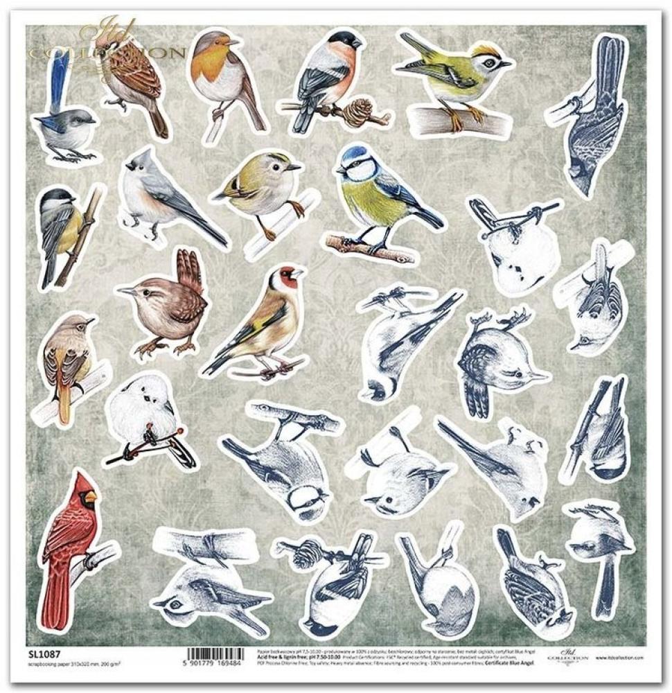 ITD Collection 12x12 Paper Sheet Decorated w. Frost #1087