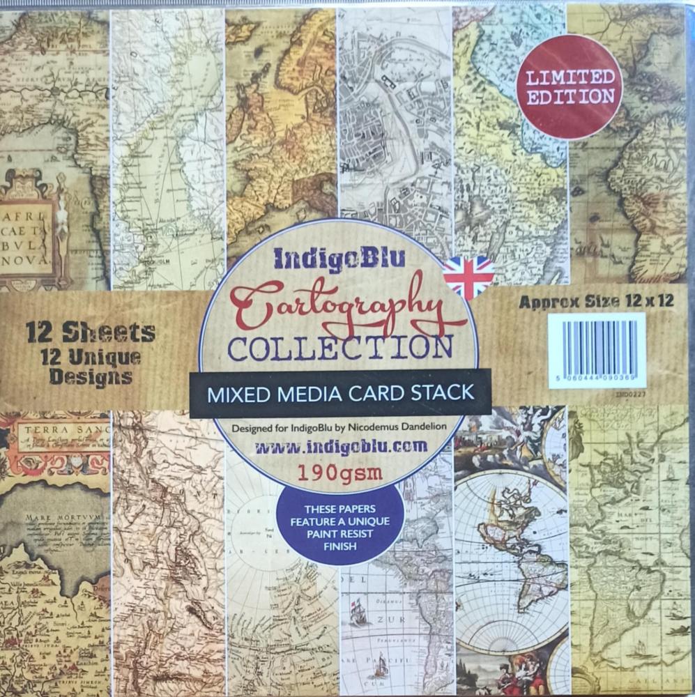 IndigoBlu Cratography 12x12 Paper Pad