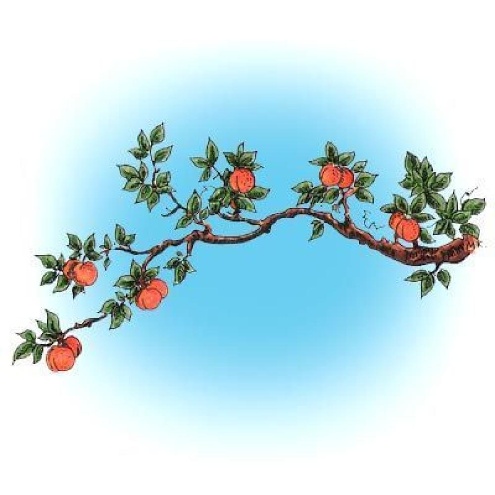 Make It Crafty Stamp Peaches of Plenty
