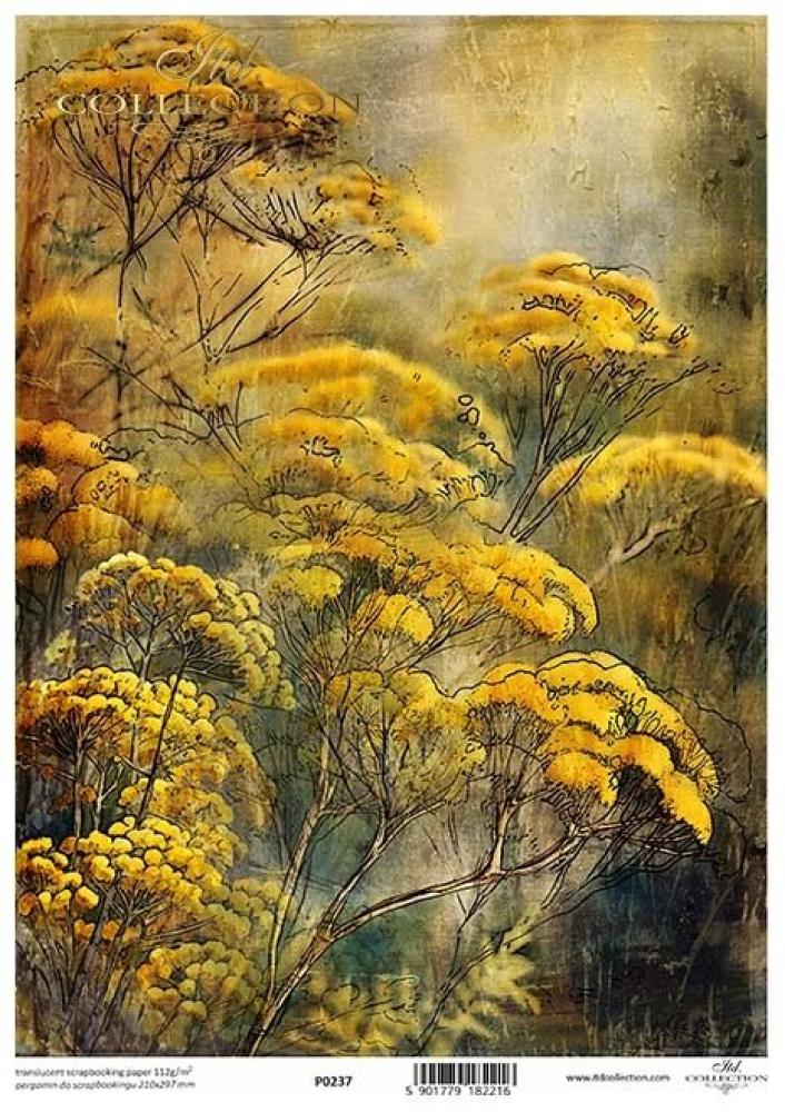 P0237 ITD Collection Autumn Love Story A4 Translucent Paper