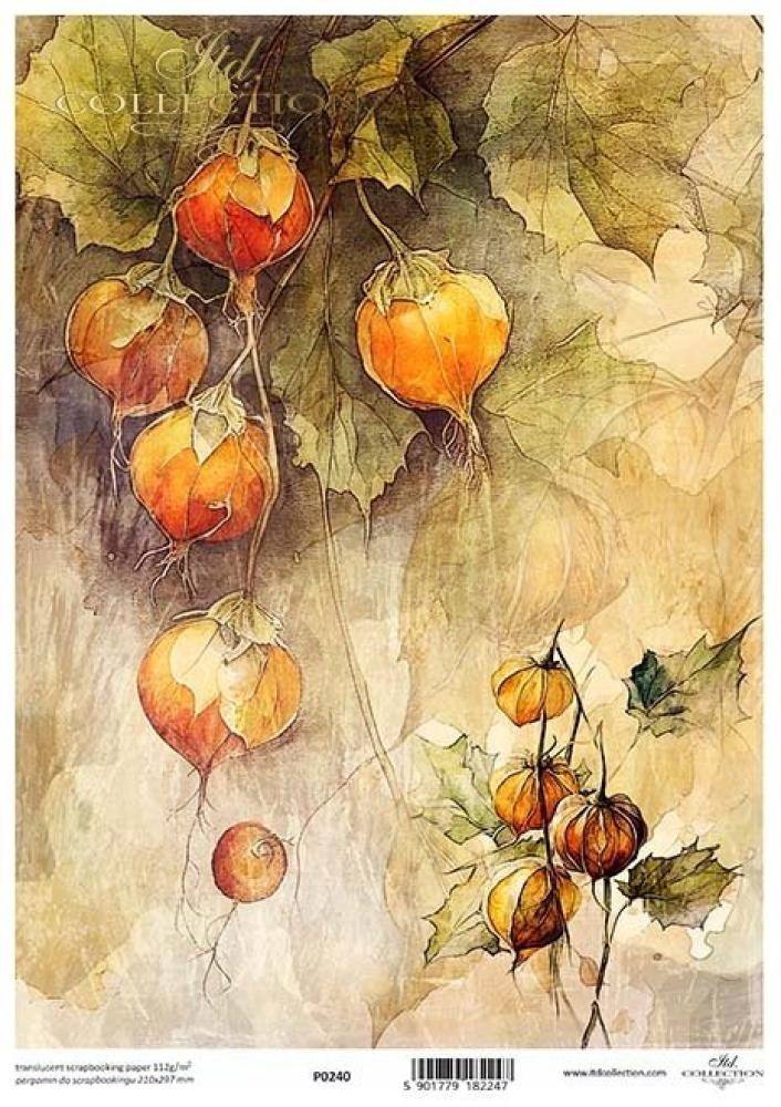 P0240 ITD Collection Autumn Love Story A4 Translucent Paper
