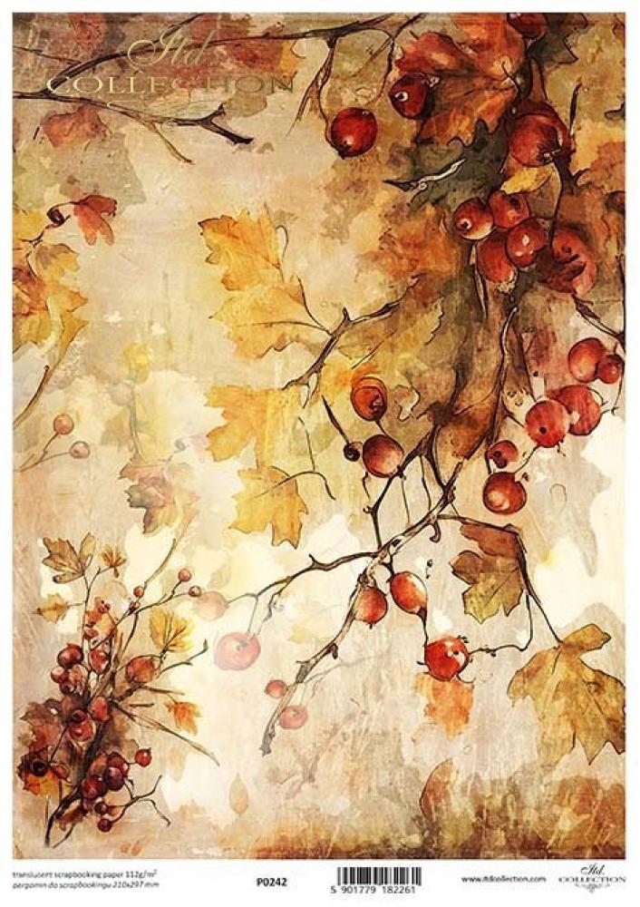 P0242 ITD Collection Autumn Love Story A4 Translucent Paper