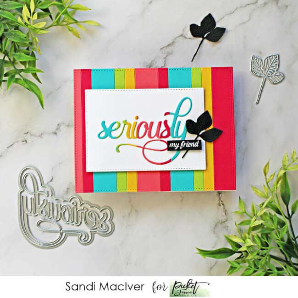 Picket Fence Studios "seriously" Word Die #167