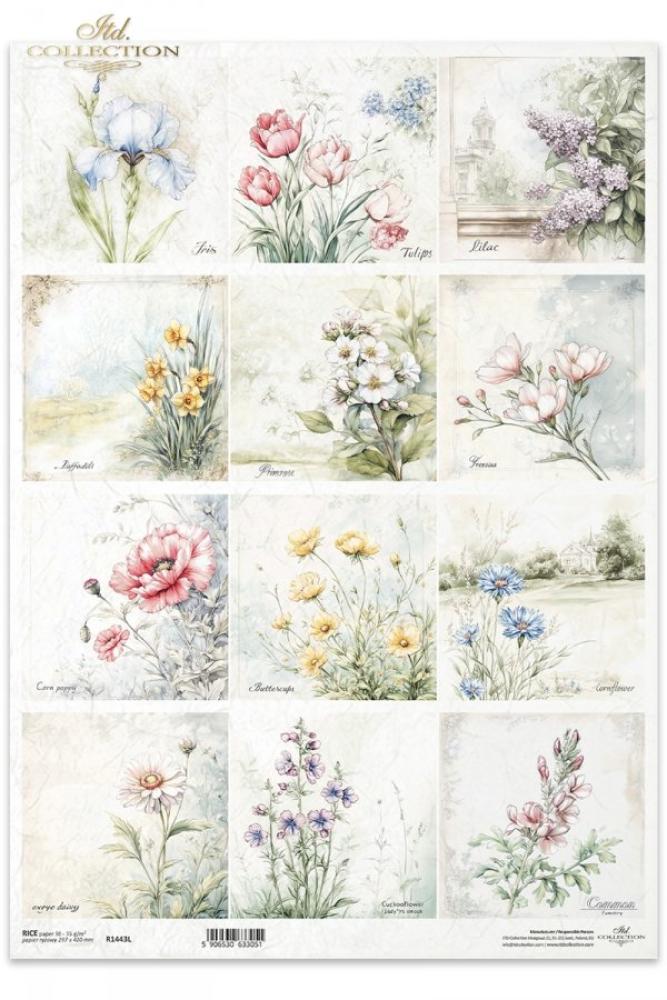 R1443L ITD Collection Meadow Flowers A3 Rice Paper