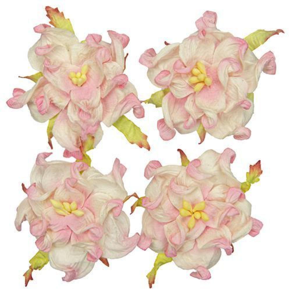 Mulberry Flowers Gardenia 5 cm White Pink