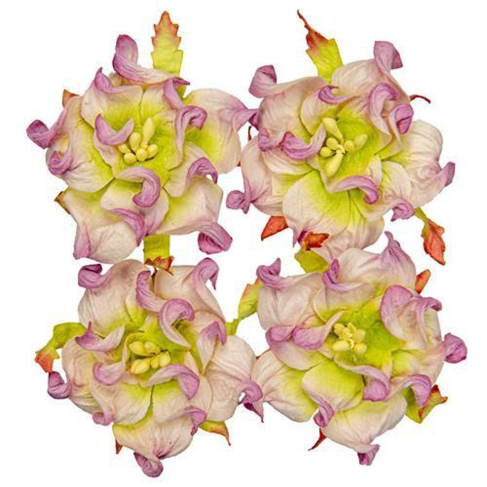 Mulberry Flowers Gardenia 5 cm Purple White Green
