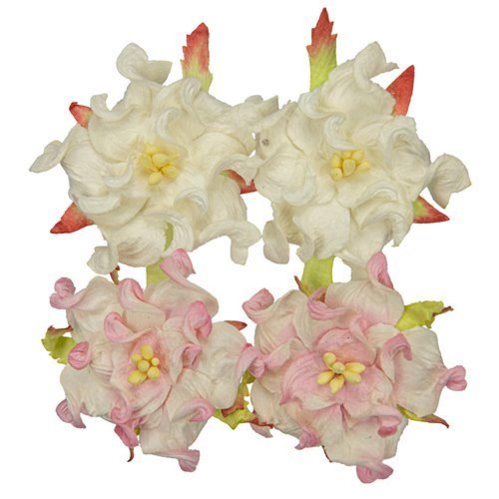 Mulberry Flowers Gardenia 5 cm White Pink SET