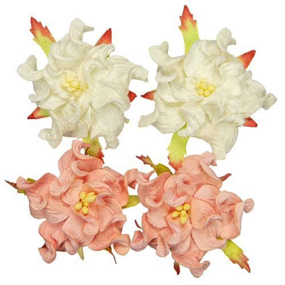 Mulberry Flowers Gardenia 5 cm White Salmon SET
