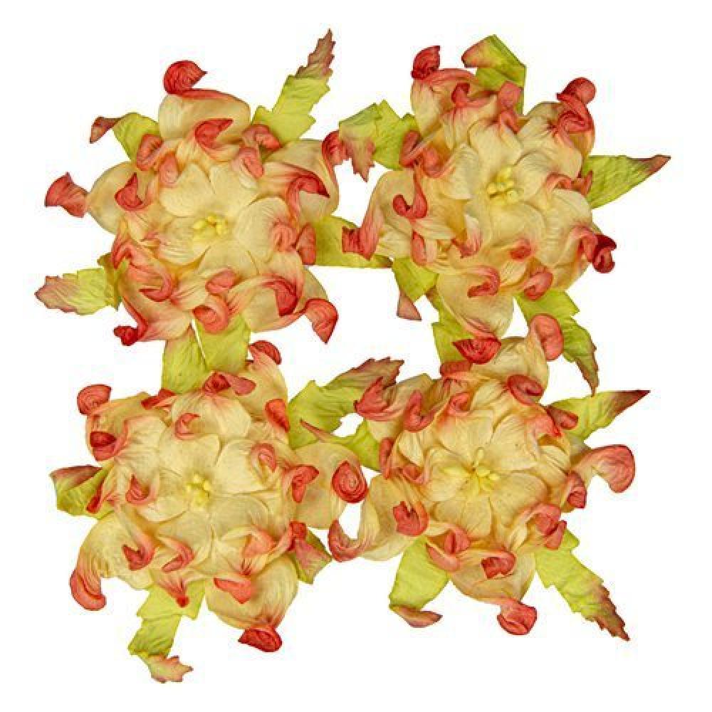 Mulberry Flowers Gardenia 7 cm Cream Orange