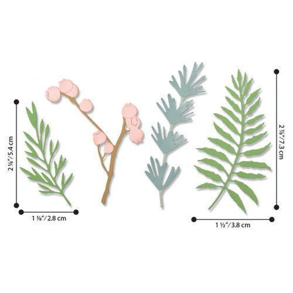 Sizzix Thinlits Dies 5Pk Natural Leaves #664361