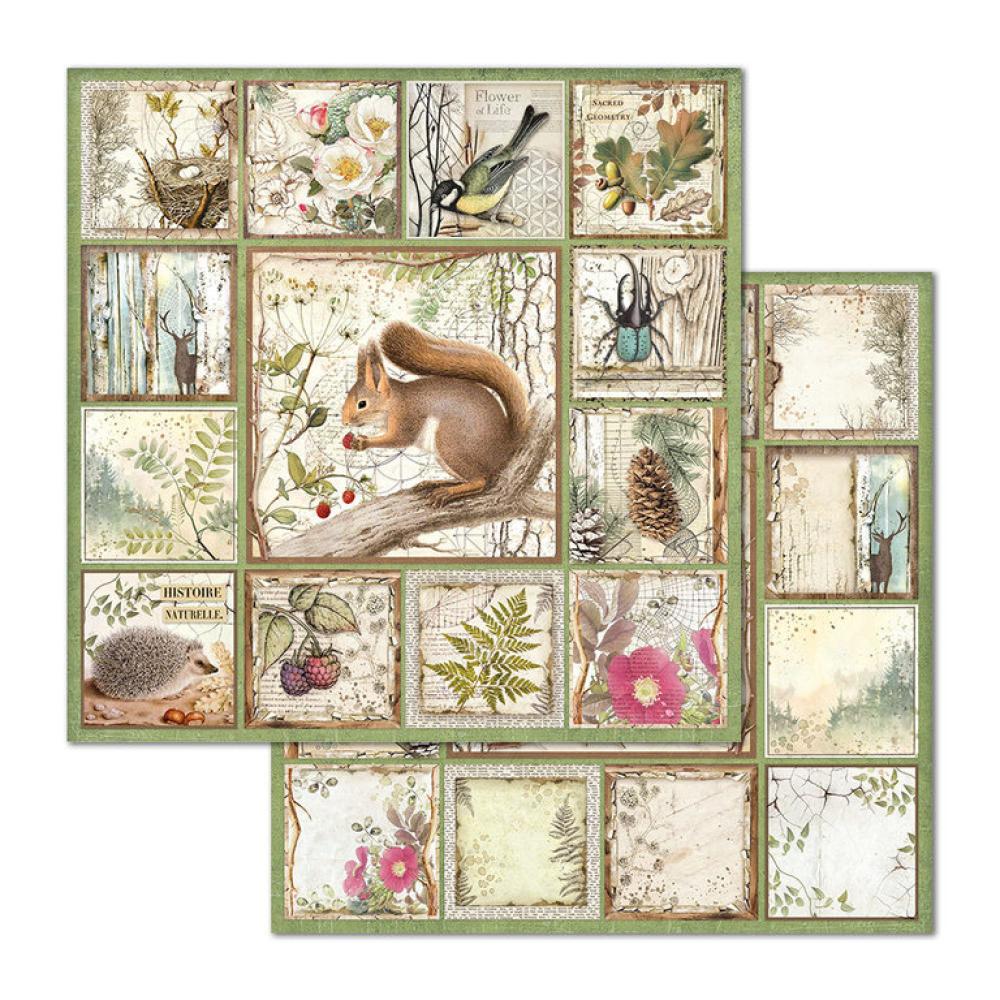 Stamperia 12x12 Paper Pad Forest #SBBL63