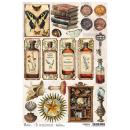 CBRP539 Ciao Bella Cabinet of Curiosities  A4 Rice Paper Potions