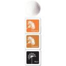 Hero Arts Embossing Powder & Ink Cubes Fox #AF403