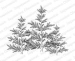 Impression Obsession Cling Stamp Elegant Pine Trio