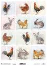 ITD Collection A4 Scrapbooking Paper #0148